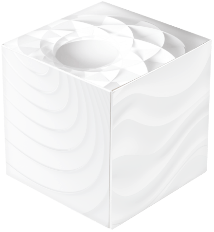 BUSINESS SUPPORT SYSTEM